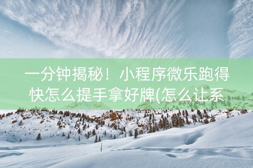 一分钟揭秘！小程序微乐跑得快怎么提手拿好牌(怎么让系统给你发好牌)