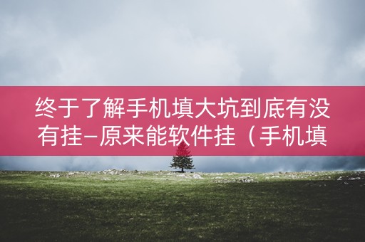 终于了解手机填大坑到底有没有挂—原来能软件挂（手机填大坑怎么玩）