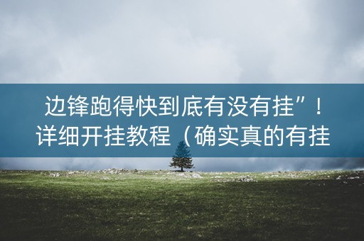 边锋跑得快到底有没有挂”！详细开挂教程（确实真的有挂)-知乎