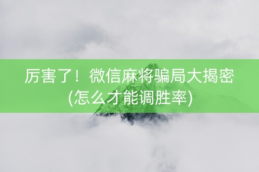 厉害了！微信麻将骗局大揭密(怎么才能调胜率)