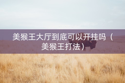 美猴王大厅到底可以开挂吗（美猴王打法）