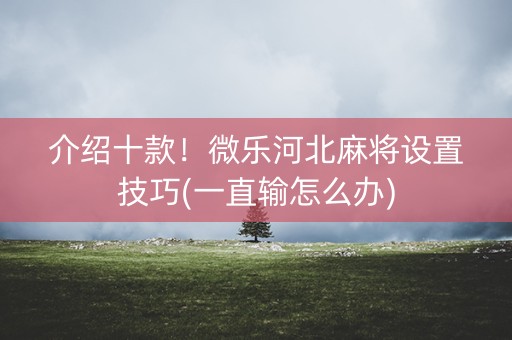 介绍十款！微乐河北麻将设置技巧(一直输怎么办)