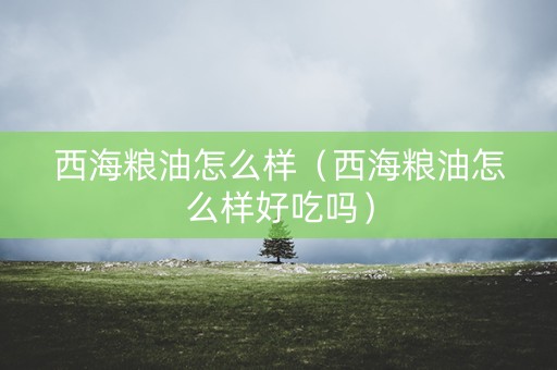 西海粮油怎么样（西海粮油怎么样好吃吗）