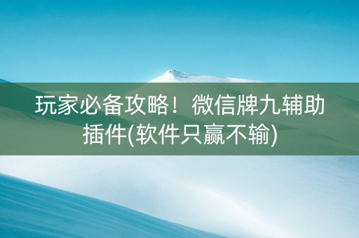 玩家必备攻略！微信牌九辅助插件(软件只赢不输)