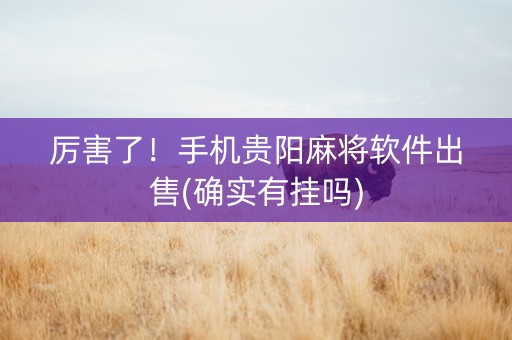 厉害了！手机贵阳麻将软件出售(确实有挂吗)
