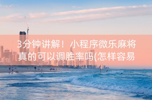 3分钟讲解！小程序微乐麻将真的可以调胜率吗(怎样容易赢)
