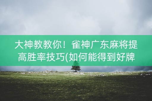 大神教教你！雀神广东麻将提高胜率技巧(如何能得到好牌)