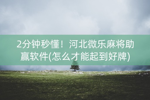 2分钟秒懂！河北微乐麻将助赢软件(怎么才能起到好牌)