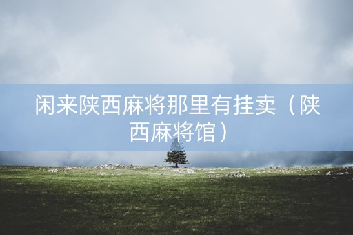 闲来陕西麻将那里有挂卖（陕西麻将馆）