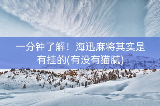 一分钟了解！海迅麻将其实是有挂的(有没有猫腻)