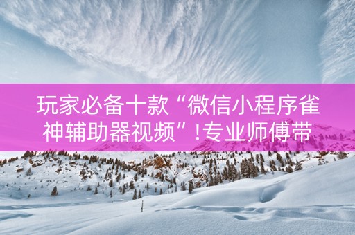 玩家必备十款“微信小程序雀神辅助器视频”!专业师傅带你一起了解（详细教程）-知乎