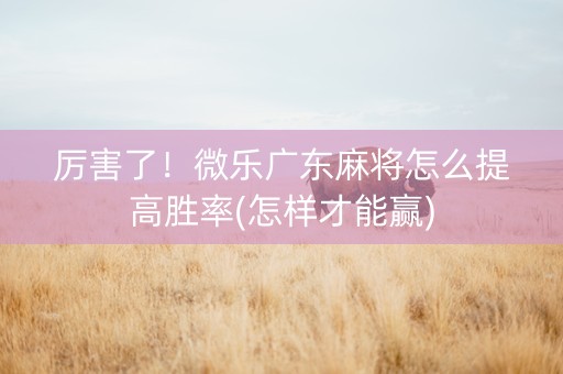 厉害了！微乐广东麻将怎么提高胜率(怎样才能赢)