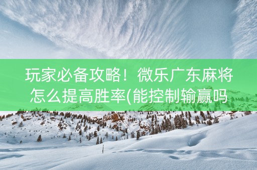 玩家必备攻略！微乐广东麻将怎么提高胜率(能控制输赢吗)