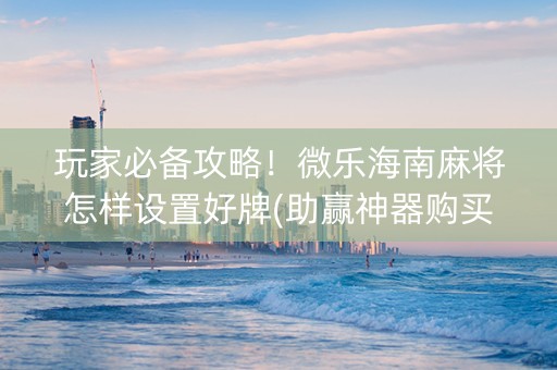 玩家必备攻略！微乐海南麻将怎样设置好牌(助赢神器购买)