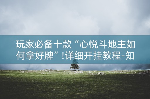 玩家必备十款“心悦斗地主如何拿好牌”!详细开挂教程-知乎