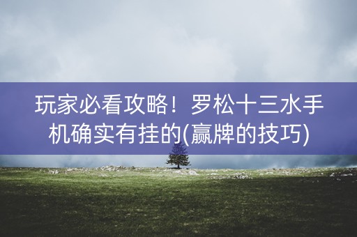 玩家必看攻略！罗松十三水手机确实有挂的(赢牌的技巧)