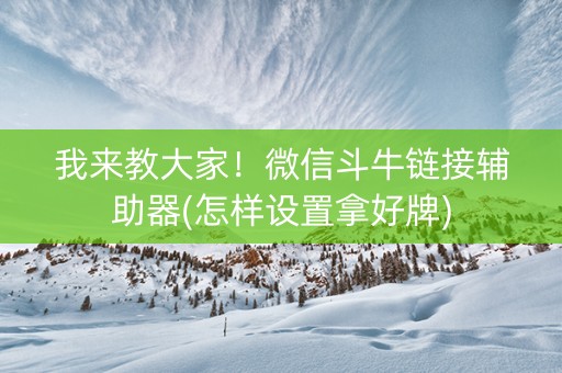 我来教大家！微信斗牛链接辅助器(怎样设置拿好牌)