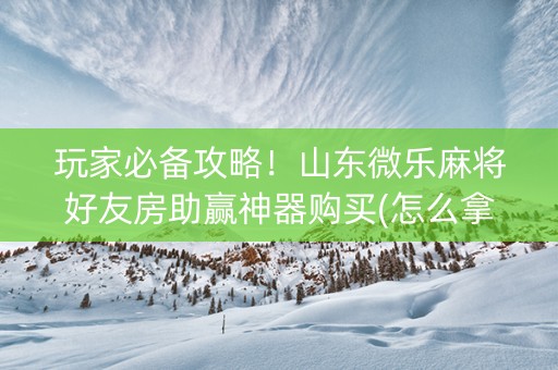 玩家必备攻略！山东微乐麻将好友房助赢神器购买(怎么拿到好牌)