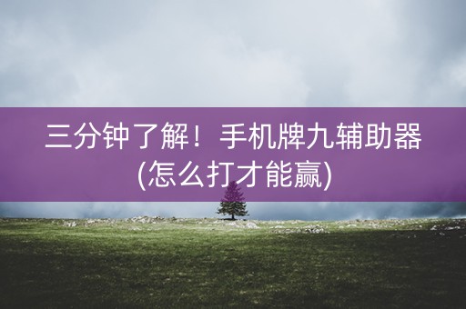三分钟了解！手机牌九辅助器(怎么打才能赢)