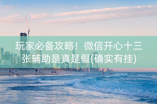 玩家必备攻略！微信开心十三张辅助是真是假(确实有挂)
