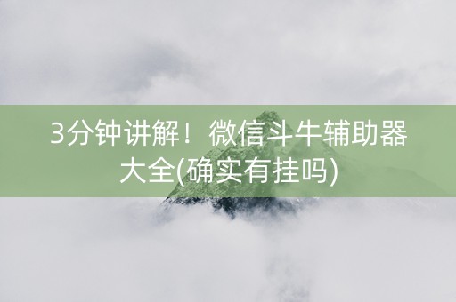 3分钟讲解！微信斗牛辅助器大全(确实有挂吗)