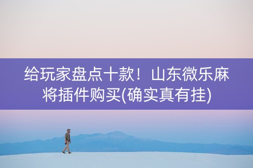 给玩家盘点十款！山东微乐麻将插件购买(确实真有挂)