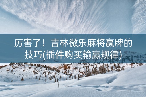 厉害了！吉林微乐麻将赢牌的技巧(插件购买输赢规律)