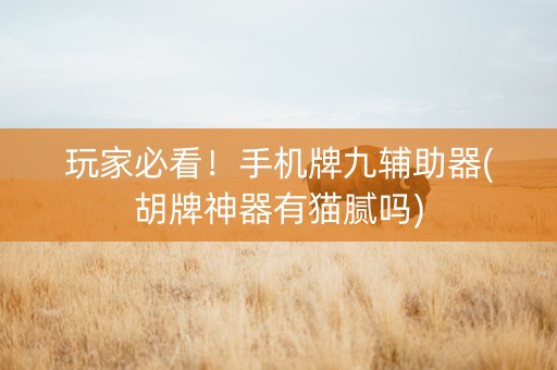 玩家必看！手机牌九辅助器(胡牌神器有猫腻吗)