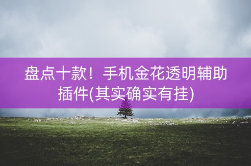 盘点十款！手机金花透明辅助插件(其实确实有挂)