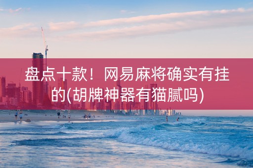 盘点十款！网易麻将确实有挂的(胡牌神器有猫腻吗)