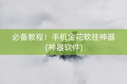 必备教程！手机金花软挂神器(神器软件)