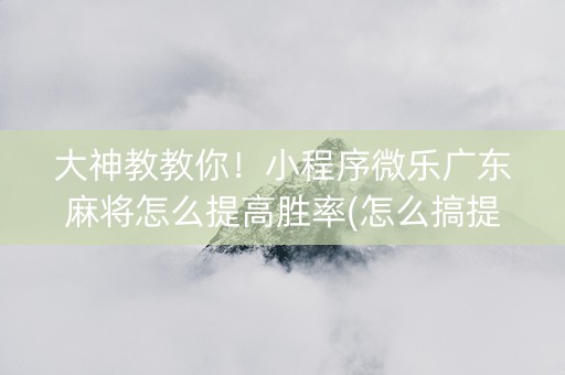 大神教教你！小程序微乐广东麻将怎么提高胜率(怎么搞提高胜率)