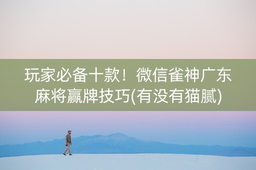 玩家必备十款！微信雀神广东麻将赢牌技巧(有没有猫腻)