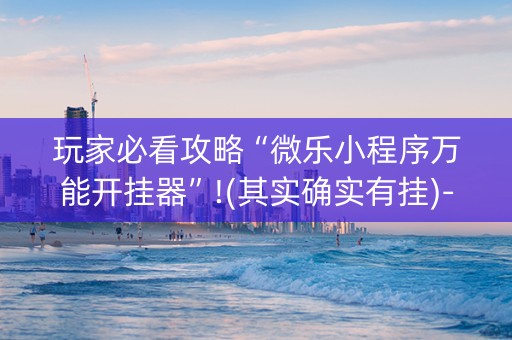 玩家必看攻略“微乐小程序万能开挂器”!(其实确实有挂)-知乎