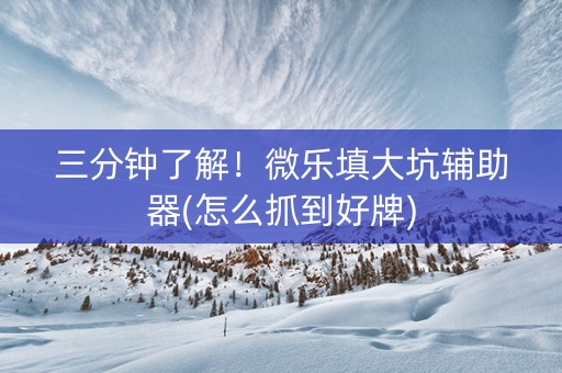 三分钟了解！微乐填大坑辅助器(怎么抓到好牌)
