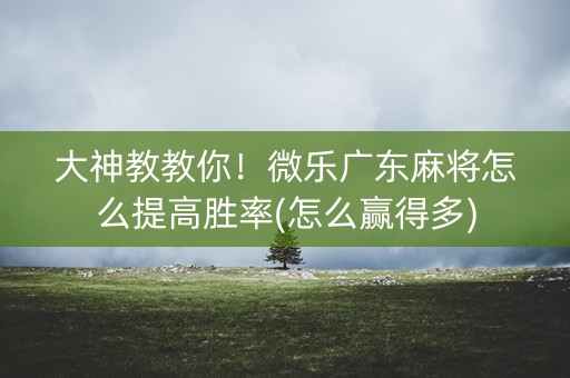 大神教教你！微乐广东麻将怎么提高胜率(怎么赢得多)