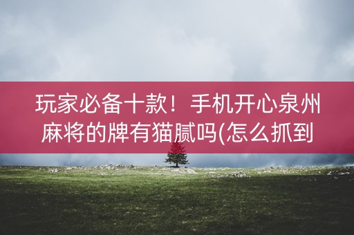 玩家必备十款！手机开心泉州麻将的牌有猫腻吗(怎么抓到好牌)