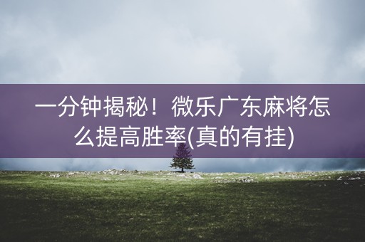 一分钟揭秘！微乐广东麻将怎么提高胜率(真的有挂)
