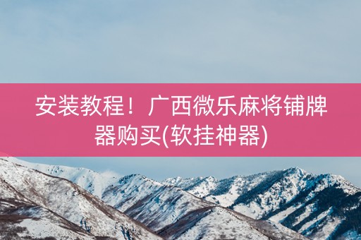 安装教程！广西微乐麻将铺牌器购买(软挂神器)