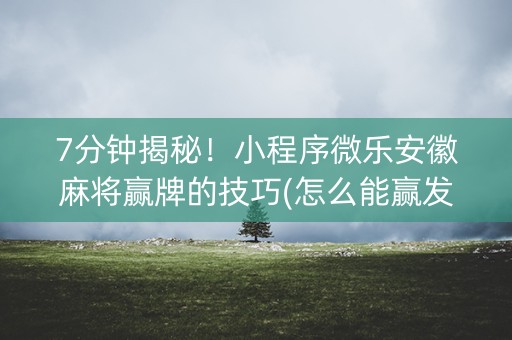7分钟揭秘！小程序微乐安徽麻将赢牌的技巧(怎么能赢发牌规律)