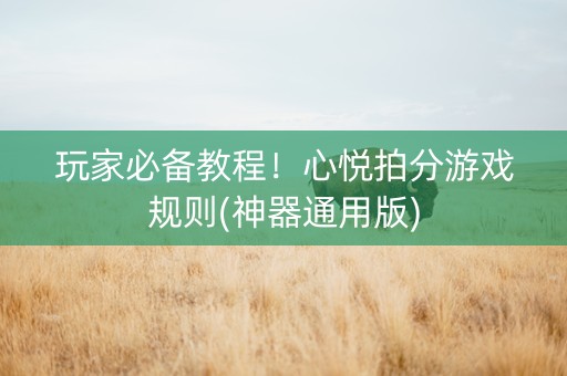 玩家必备教程！心悦拍分游戏规则(神器通用版)