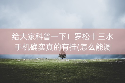 给大家科普一下！罗松十三水手机确实真的有挂(怎么能调好牌)