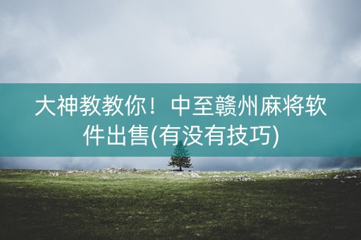大神教教你！中至赣州麻将软件出售(有没有技巧)