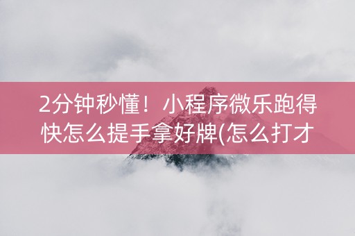 2分钟秒懂！小程序微乐跑得快怎么提手拿好牌(怎么打才会赢)