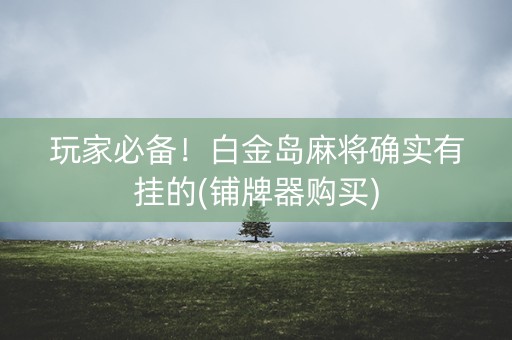 玩家必备！白金岛麻将确实有挂的(铺牌器购买)