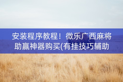 安装程序教程！微乐广西麻将助赢神器购买(有挂技巧辅助器)