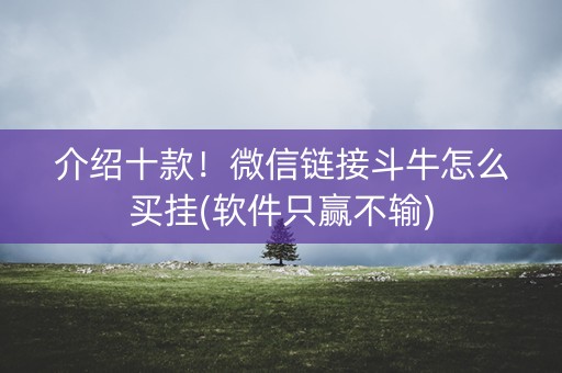 介绍十款！微信链接斗牛怎么买挂(软件只赢不输)