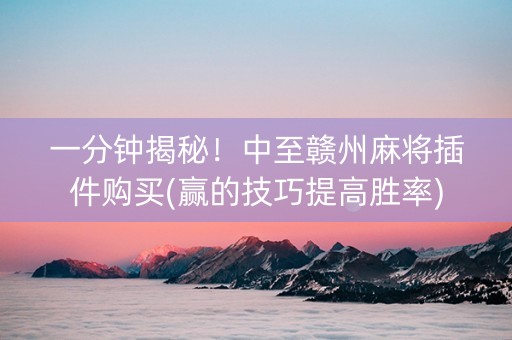 一分钟揭秘！中至赣州麻将插件购买(赢的技巧提高胜率)