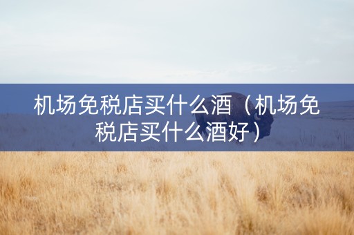 机场免税店买什么酒（机场免税店买什么酒好）