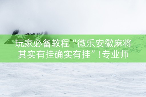 玩家必备教程“微乐安徽麻将其实有挂确实有挂”!专业师傅带你一起了解（详细教程）-知乎